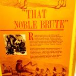 {"focusMode":0,"deviceTilt":0.02657632430526213,"whiteBalanceProgram":0,"macroEnabled":false,"qualityMode":3} (September 14, 2015)